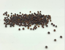 Wasabi Mustard Microgreens Seeds
