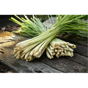 Thai Lemongrass (Cymbopogon flexuosus) Herbal Plant Seeds, Exotic Culinary Herb