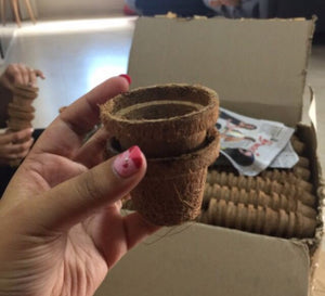 Coir Seeding Cup