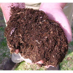 Worm Casting: Vermicompost